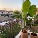 Kikkos Nea Koroni