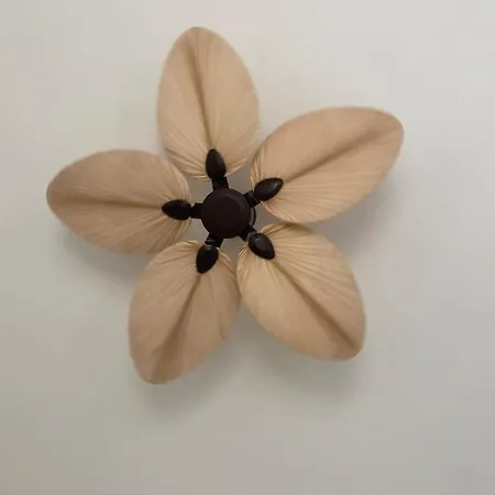 Kikkos Διαμέρισμα *