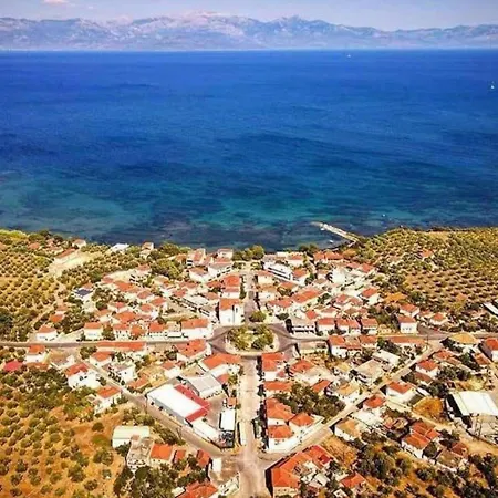 Kikkos * Νέα Κορώνη